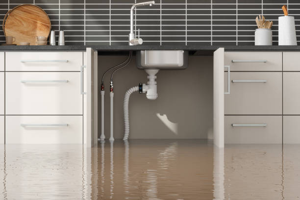 Best Water damage cleanup near me  in Sandpoint, ID