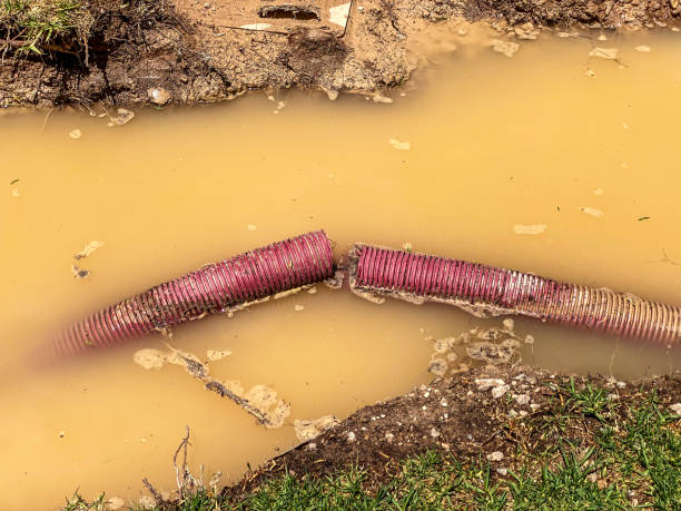 Best Emergency water damage restoration  in Sandpoint, ID