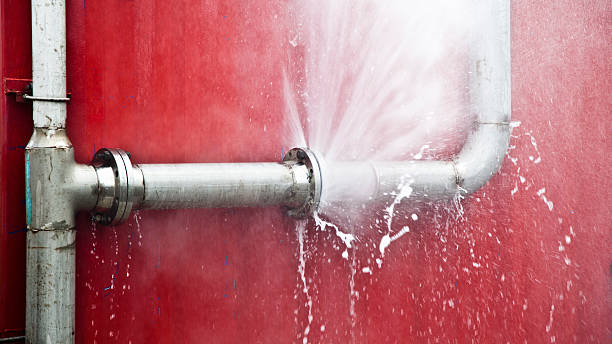 Water damage restoration mold remediation in ID